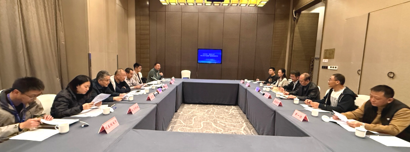 内江市召开2025“海智计划”调研座谈会
